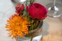 DSC07414.jpg